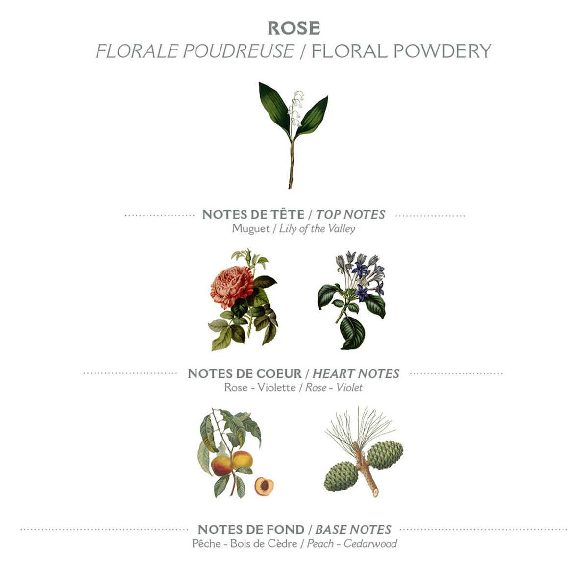 VEGETAL SOAP 150g ROSE - Made in France