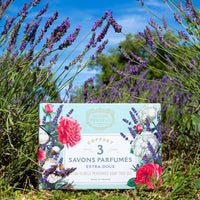 Panier des Sens Coffret com 3 Sabonetes Perfumados – 3 × 100 g, Feitos em França